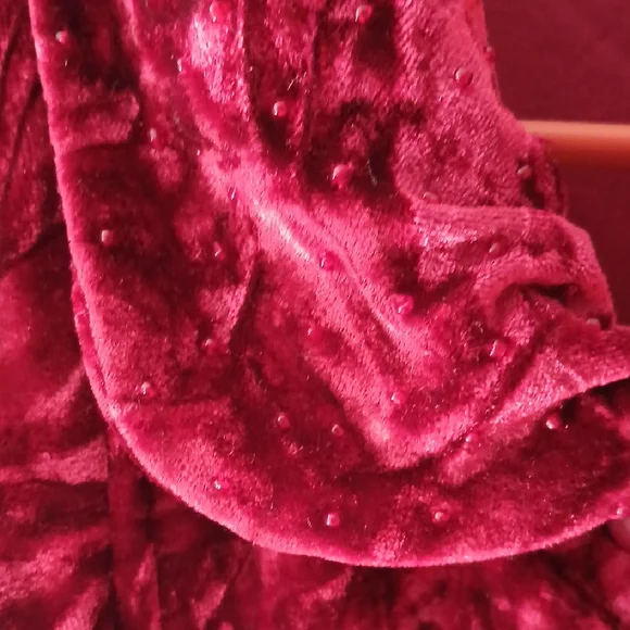 Antilia Femme Rich Red Velvet Top - Picture 2 of 9